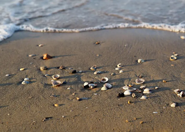 One-bedroom Flat Next To Thermae